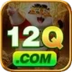 12q - Casino Pro
